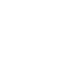 White Sabers logo